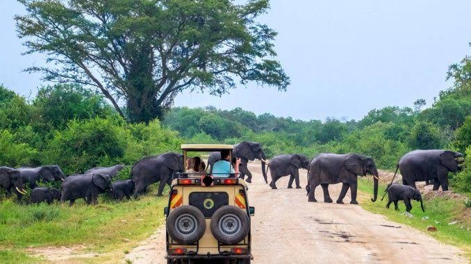 tourism uganda