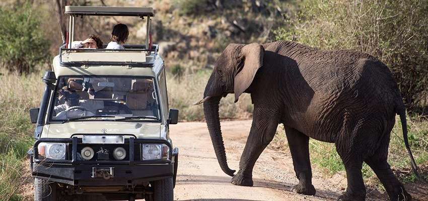 Queen Elizabeth game-drive-safari