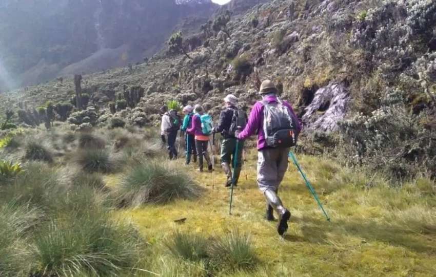 Rwenzori_Mountains_Trek-1024x768